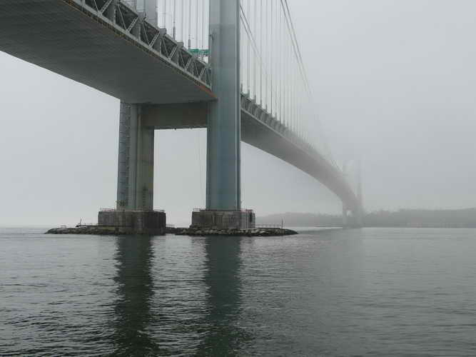 NYC_2020-02-01 11-35-10_P1090176